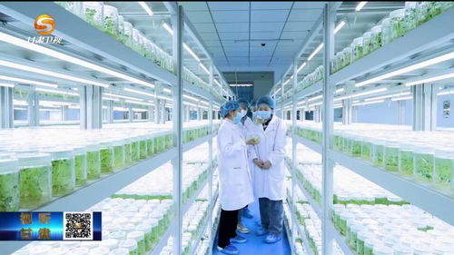 甘肃 科技创新为发展装上最强“大脑”