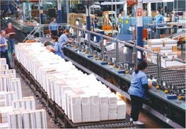 印刷工业自动化方案 国际视野下的技术革新与咨询服务